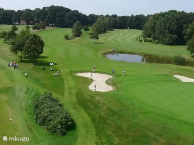 Golfbaan